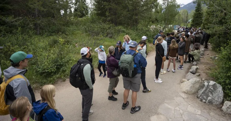 Grand Teton National Park could near visitation record due to booming early summer