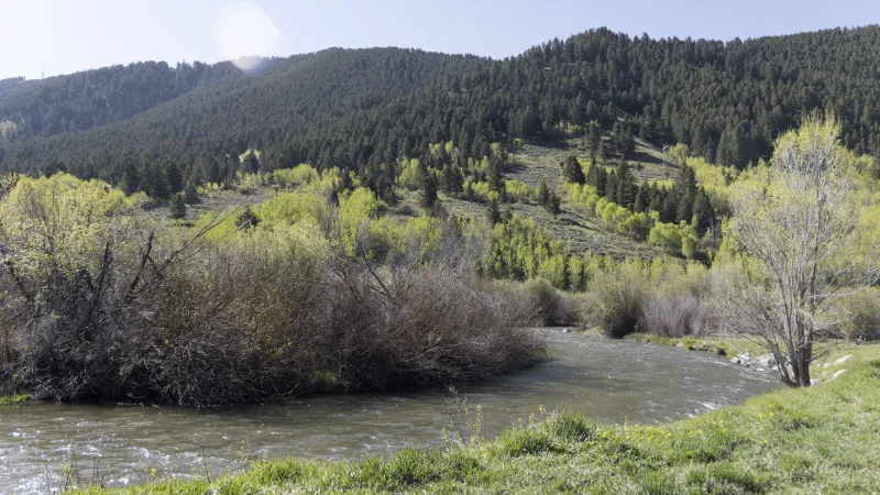 Town Council advances first update to Natural Resources Overlay in 30 years