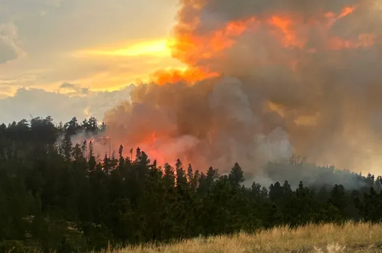 Fish Creek Fire 50% contained; currently sits at 17 acres