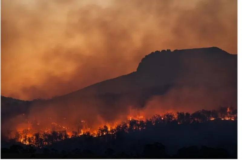 Albany County Sheriff: Fish Creek Fire 50 Percent Contained