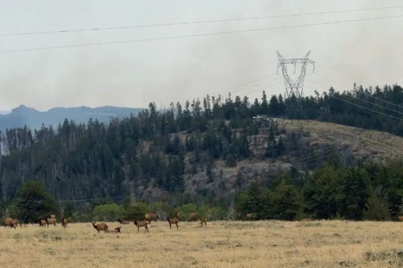 All Albany County Fish Creek Fire Evacuations Lifted