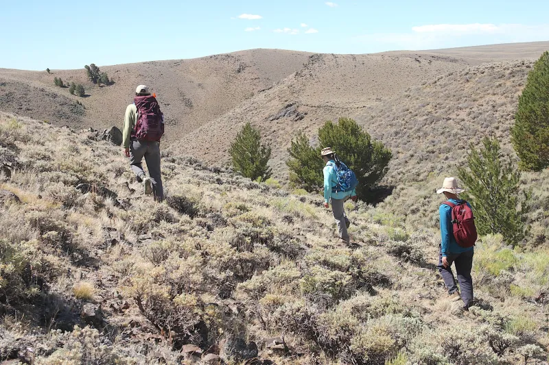 Cheatgrass is invading the best sagebrush left in the West. How can Wyoming hold the line?