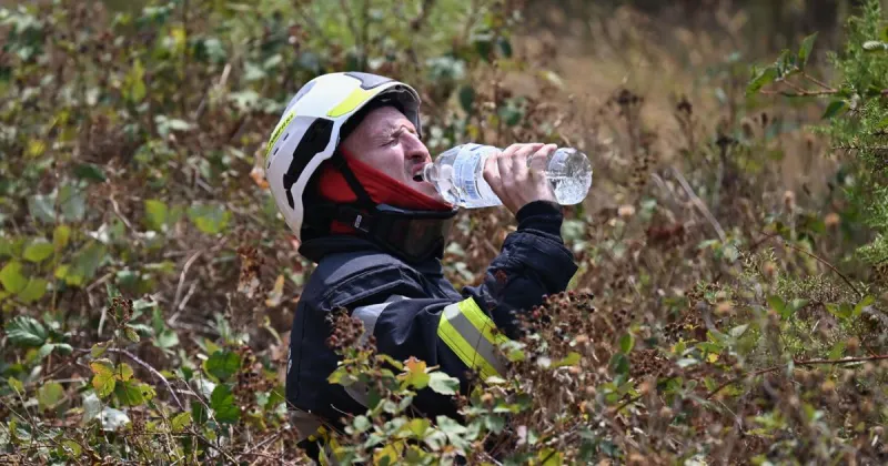 Wildfires in France drive 250,000 people from their homes and creep toward wine city of Bordeaux