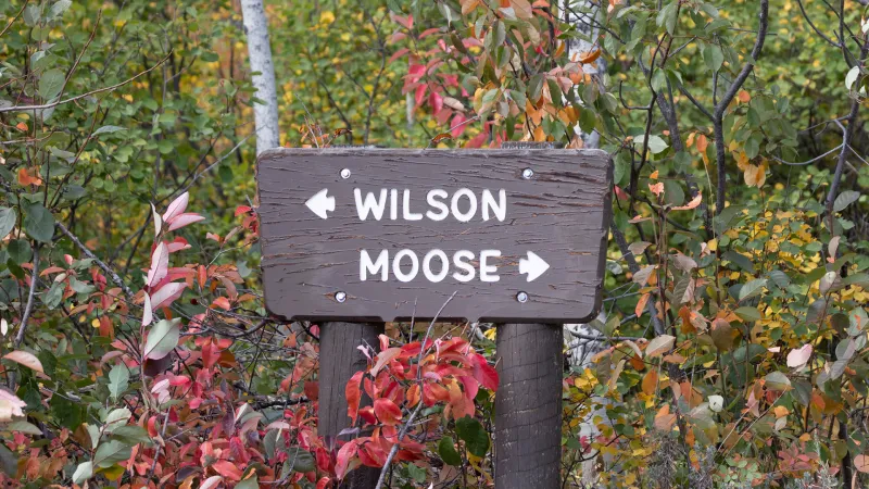 GTNP: Moose-Wilson Road to be closed Tuesday through Thursday