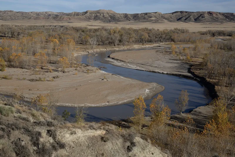 Bright colors and bold stripes: Meet the lesser known denizens of Wyoming's prairie streams