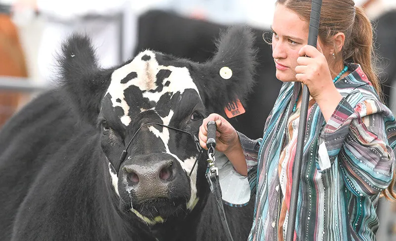 Livestock sale sets new record
