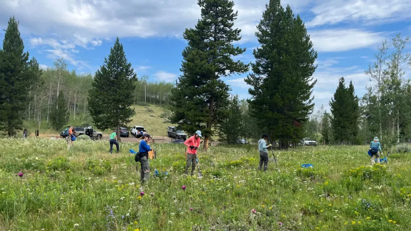 Volunteers connect by plucking noxious weeds in popular valley spots