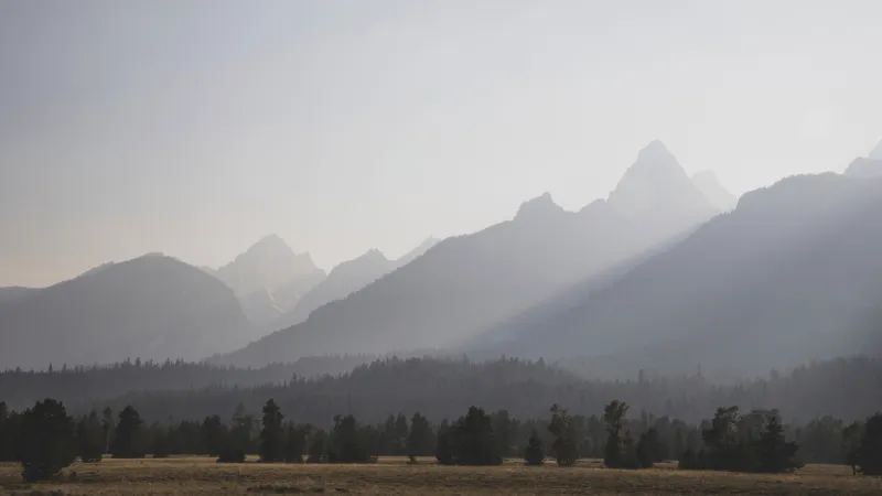 Tips for dealing with wildfire smoke