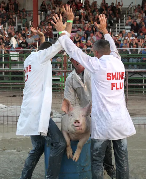 (Photo Gallery) -- Pig Wrestling at the Lincoln County Fair