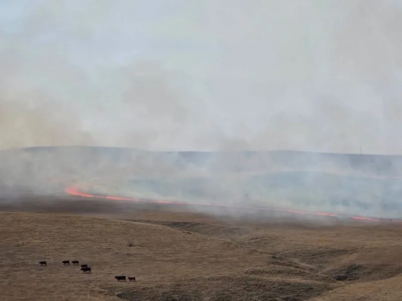 Forward progress stopped on 536-acre Montgomery Fire west of Gillette