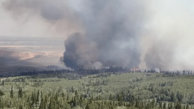 137 personnel fighting 800-acre Bare Fire