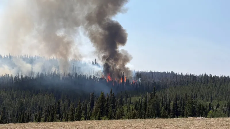 U.S. Forest Service offers update on Bare Fire in Bridger-Teton National Forest
