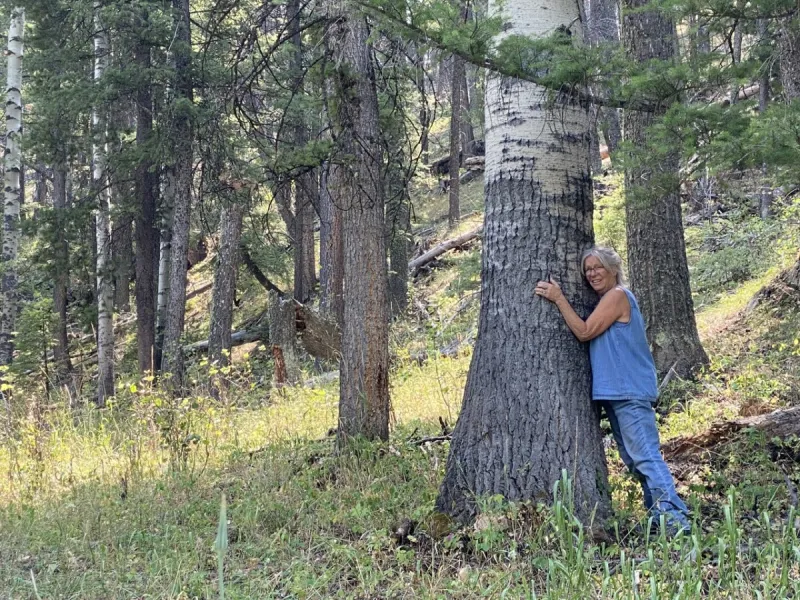 Big Aspen