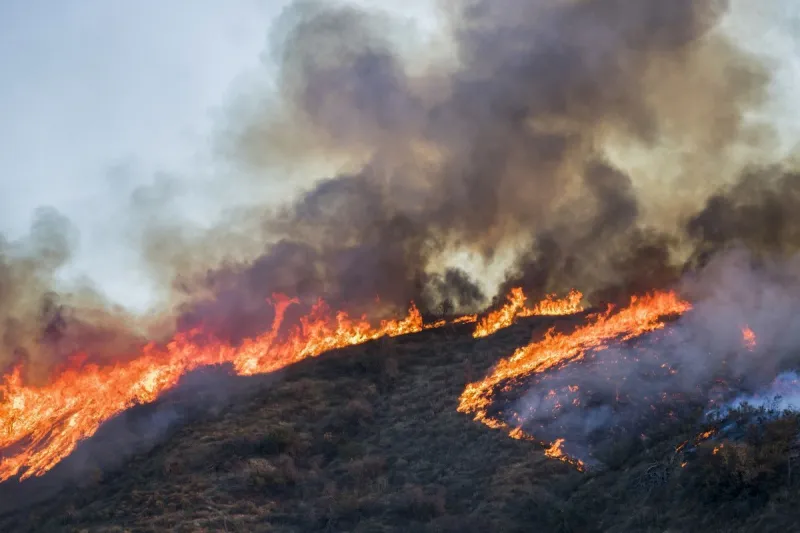 Dramatic Videos of Wyoming's South Pass Fire