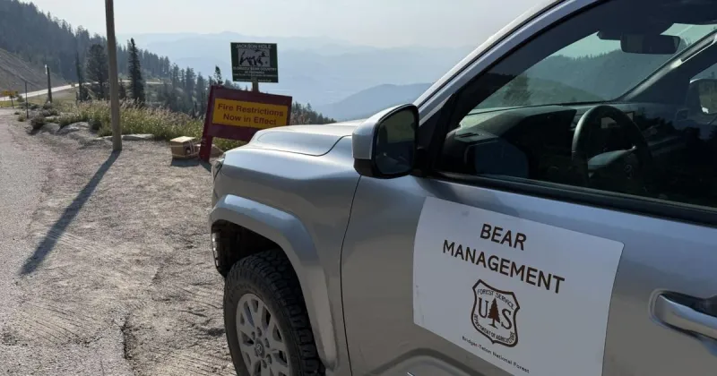 Woman injured in bear encounter near Teton Pass