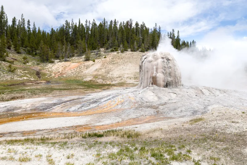 Yellowstone reports 958K visitors in July; visits down 2% from 2025