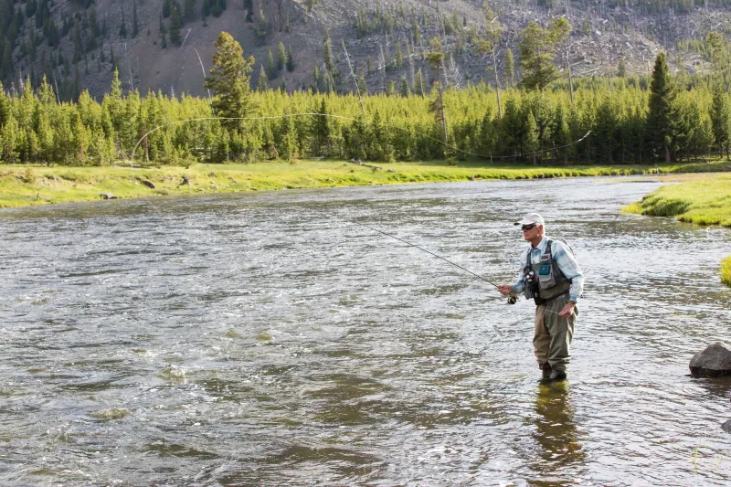 Yellowstone National Park lifts fishing restrictions
