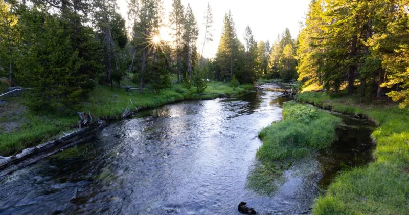 Yellowstone National Park lifts most fishing closures