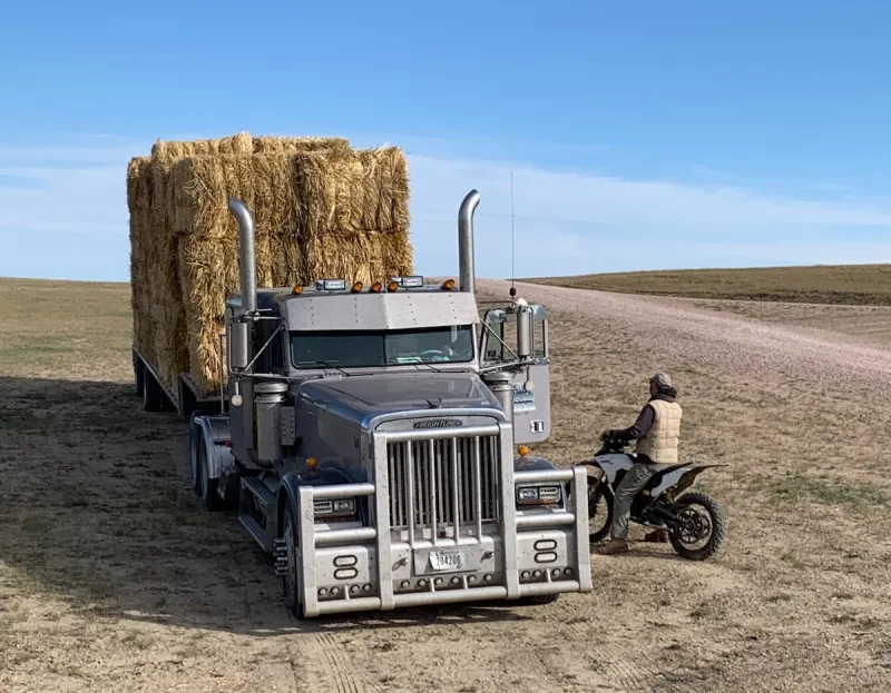 'Extreme drought,' record-breaking heat confront Wyoming ranchers with difficult choices