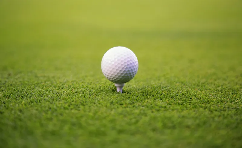 Sports Friday Interview: Coach Kelly Fullmer -- SVHS Golf