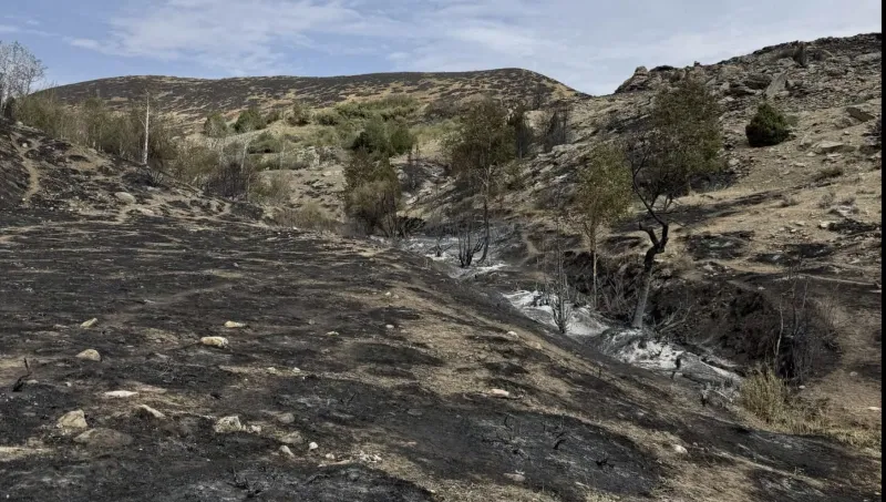 Week after ignition, Weiser Knoll fire nears full containment; cause under investigation
