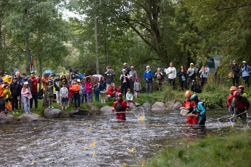 SNAPPED: Old Bill's rubber duck race floats on despite rain