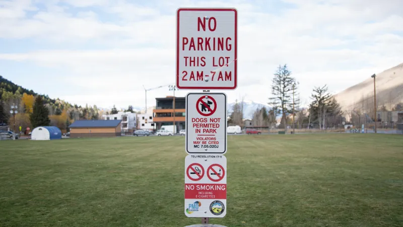 Town moves forward to open up talks about Jackson dogs in parks policies
