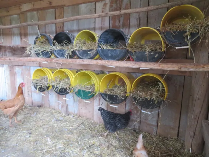 Throwback Thursday: New Buckets, v.2.0