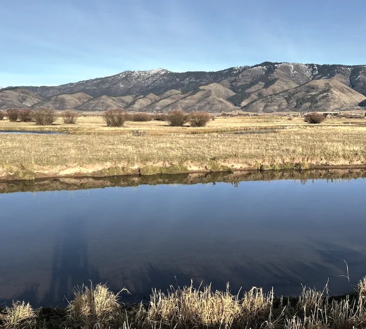 Wyoming Game and Fish Department investigating fish mortality event on Salt River