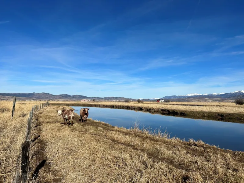 SVI Radio Interview: Tanner Belknap -- Star Valley Trout Unlimited Clark's Barn Project
