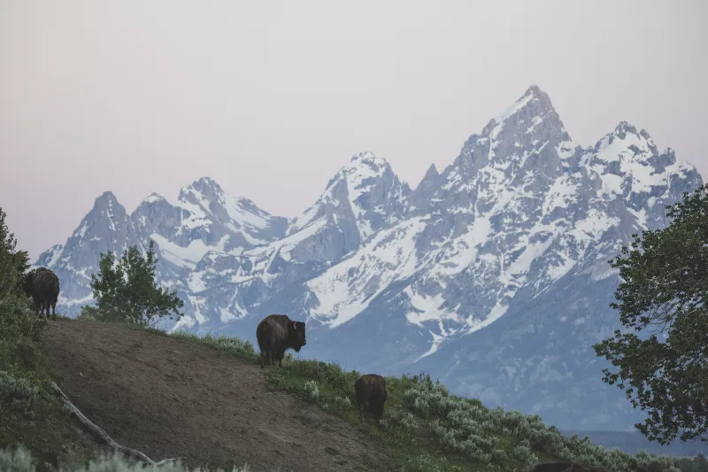 National Park Service turns 110 today