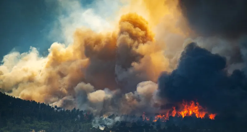The Trump administration upended how we fight wildfires. Then came the West's worst fire season in years.