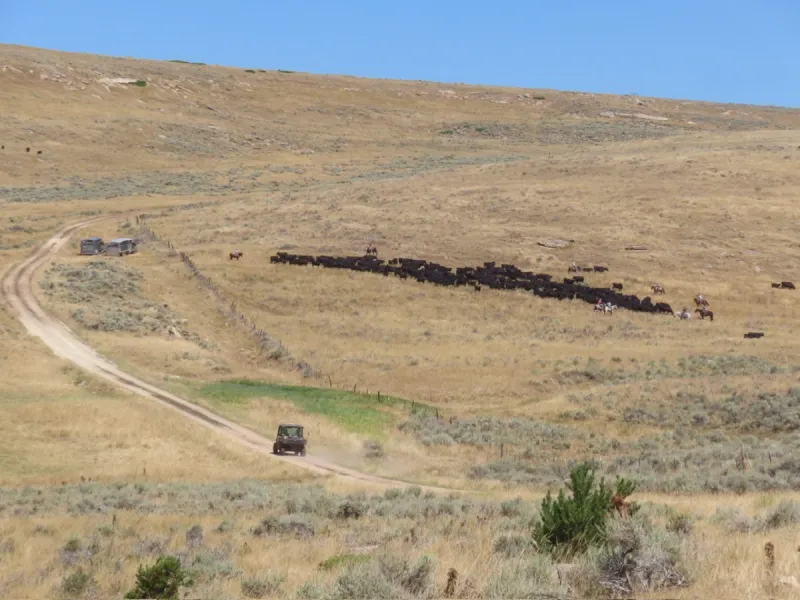 Moving Mountains (Pastures) Again