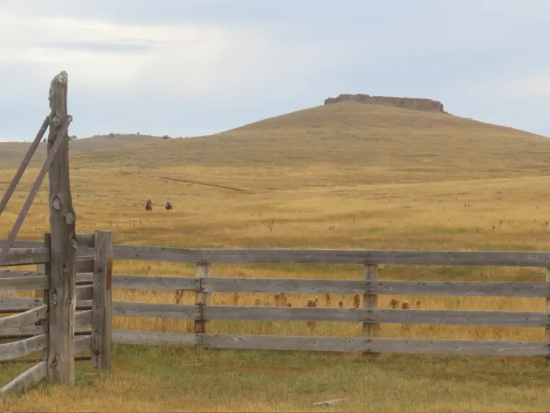 Wordless Wednesday: Father Daughter Ride