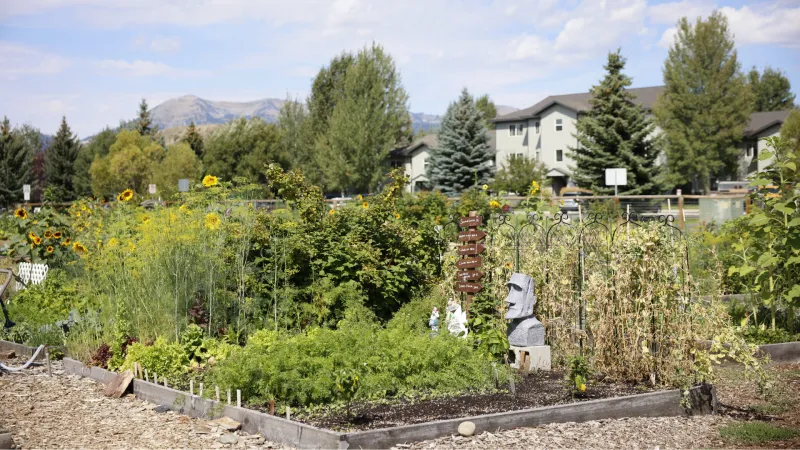 SNAPPED: Community gardens are in full bloom
