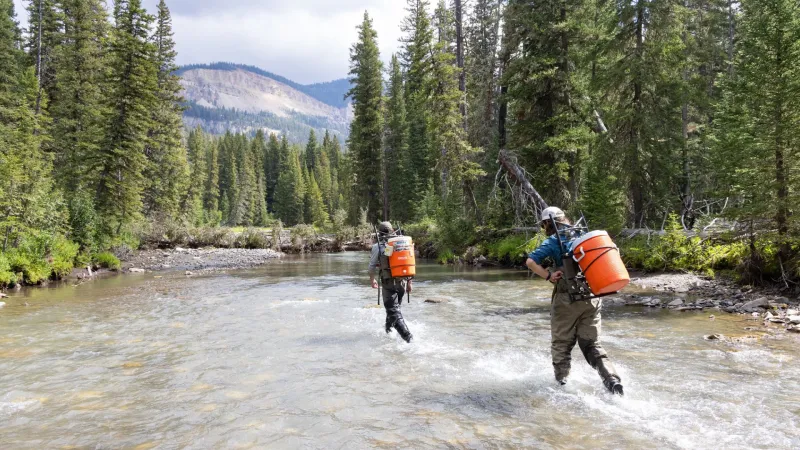 Buffalo Creek in Yellowstone to close for native fish restoration project