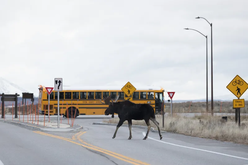 Motorists reminded to be alert as school year nears