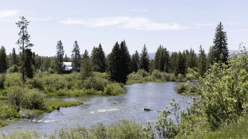 Fish Creek Watershed Plan: Partnerships and water quality in Wilson