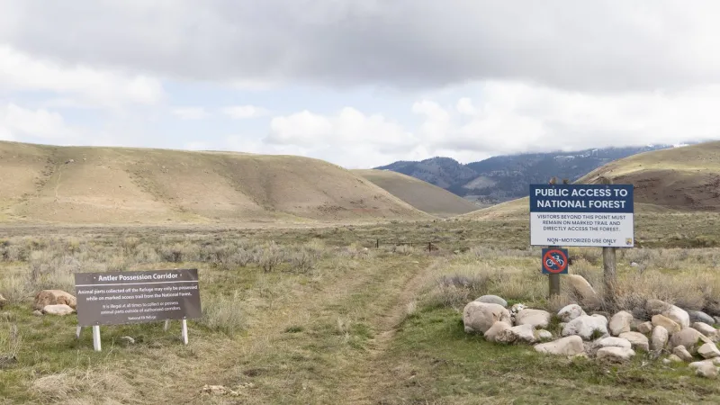 Conservation org to host postcard writing events for Roadless Rule