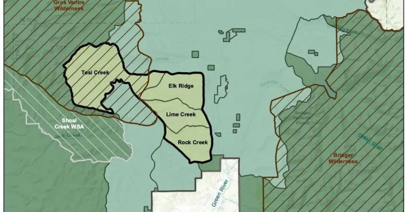 Environmental group presses to halt cattle grazing near grizzlies, wolves