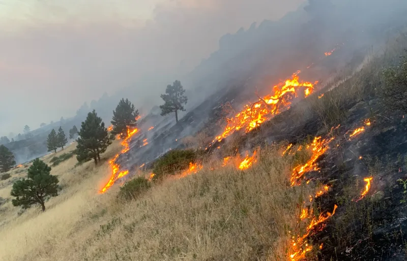 Coordination, communication help Wyoming tackle complex fire season