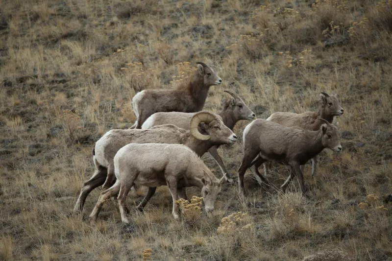 Some places in Wyoming are too important to gamble with
