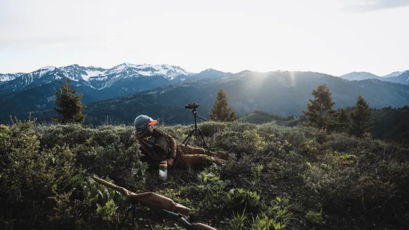 Jackson Hole wildlife; statewide impact