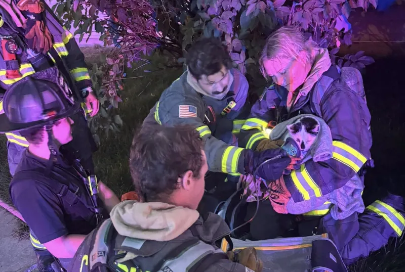 No injuries reported, cats rescued in early morning house fire Monday