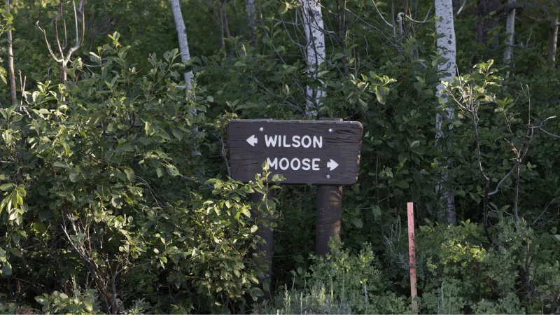 Most of Moose-Wilson Rd. in GTNP to close for remainder of season