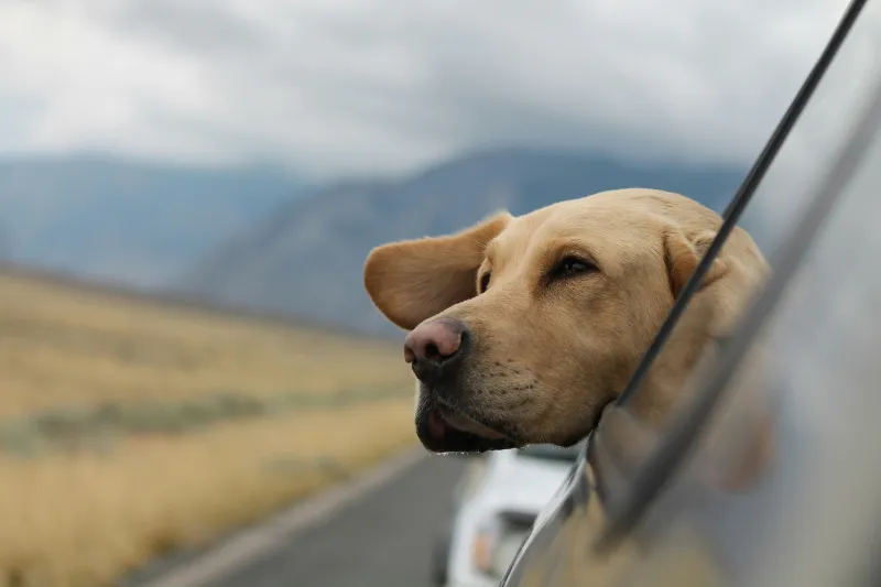BATTLE PASS - Most Beautiful Drive In Southern Wyoming