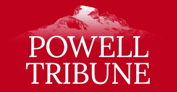 Mary Ellen Ibarra-Robinson