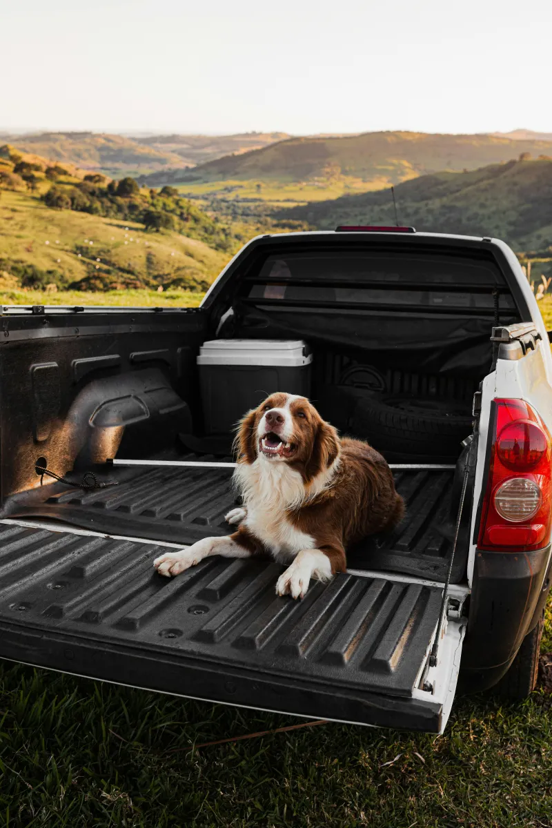 The Most Popular Vehicle In Wyoming, 2026