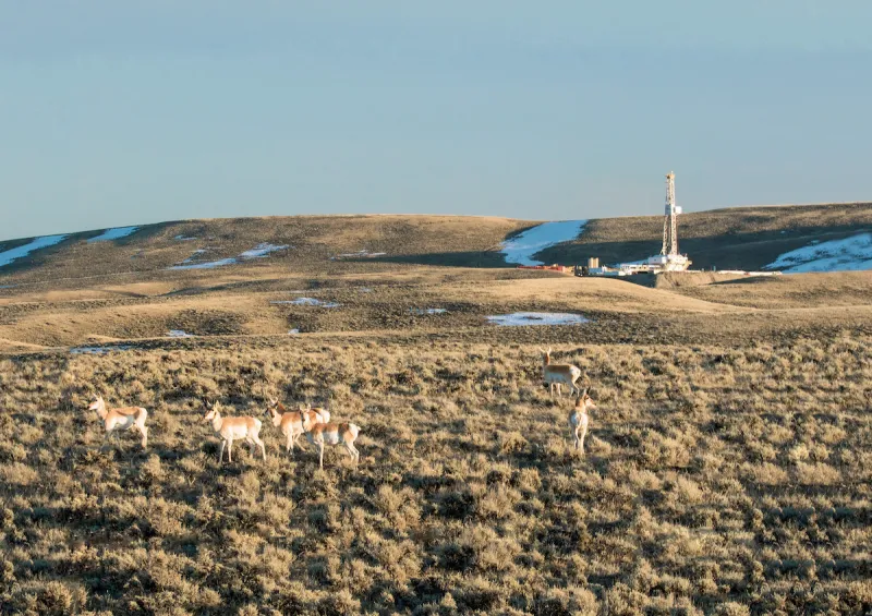 Natural gas leads race to fuel Wyoming's spiking data-center driven electrical demand