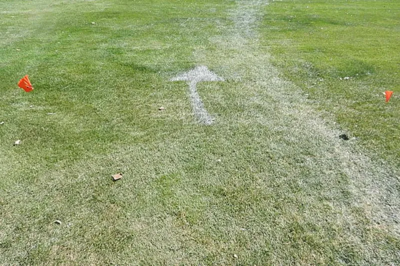 Wyoming High School Cross Country Scoreboard for September 8-12, 2026